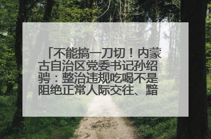 不能搞一刀切！内蒙古自治区党委书记孙绍骋：整治违规吃喝不是阻绝正常人际交往、黯淡人间烟火