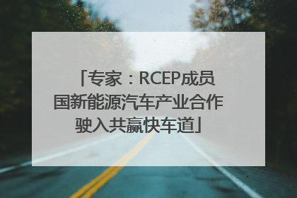 专家：RCEP成员国新能源汽车产业合作驶入共赢快车道