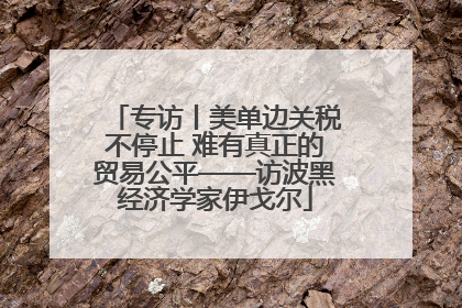 专访丨美单边关税不停止 难有真正的贸易公平——访波黑经济学家伊戈尔