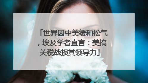 世界因中美缓和松气，埃及学者直言：美搞关税战损其领导力