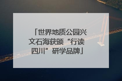 世界地质公园兴文石海获颁“行读四川”研学品牌