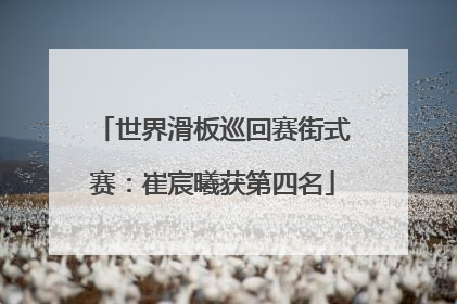 世界滑板巡回赛街式赛：崔宸曦获第四名
