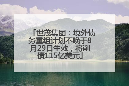 世茂集团：境外债务重组计划不晚于8月29日生效，将削债115亿美元