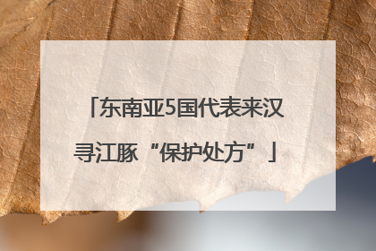 东南亚5国代表来汉寻江豚“保护处方”