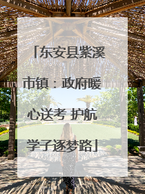东安县紫溪市镇：政府暖心送考 护航学子逐梦路