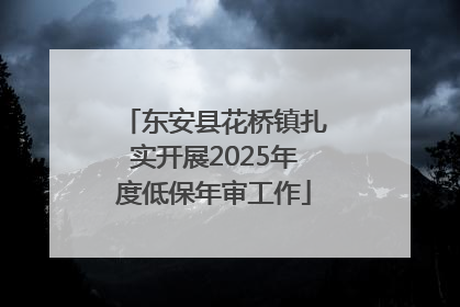东安县花桥镇扎实开展2025年度低保年审工作