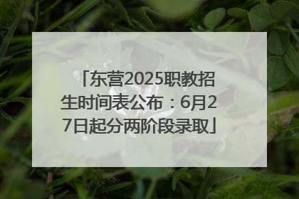 东营2025职教招生时间表公布：6月27日起分两阶段录取