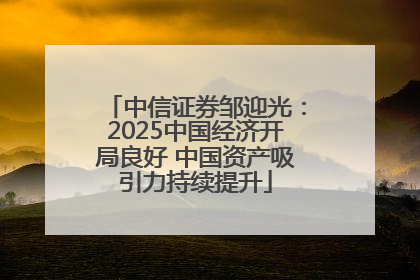 中信证券邹迎光：2025中国经济开局良好 中国资产吸引力持续提升