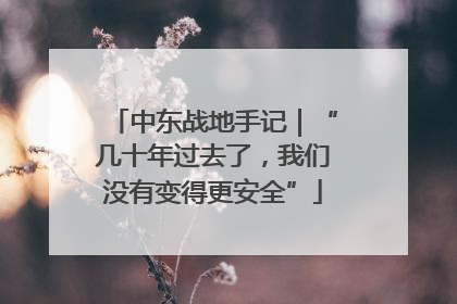 中东战地手记｜“几十年过去了，我们没有变得更安全”