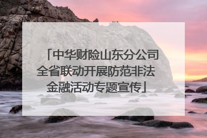 中华财险山东分公司全省联动开展防范非法金融活动专题宣传