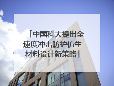 中国科大提出全速度冲击防护仿生材料设计新策略