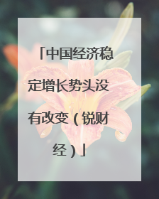 中国经济稳定增长势头没有改变（锐财经）