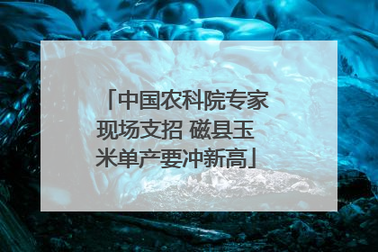 中国农科院专家现场支招 磁县玉米单产要冲新高