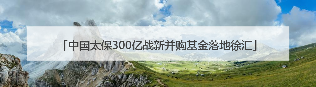 中国太保300亿战新并购基金落地徐汇