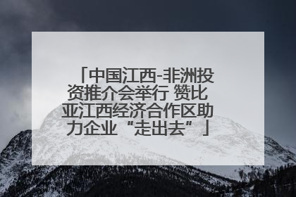 中国江西-非洲投资推介会举行 赞比亚江西经济合作区助力企业“走出去”