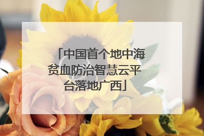 中国首个地中海贫血防治智慧云平台落地广西