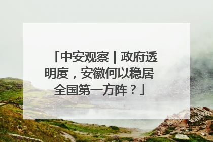 中安观察｜政府透明度，安徽何以稳居全国第一方阵？