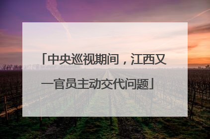 中央巡视期间，江西又一官员主动交代问题