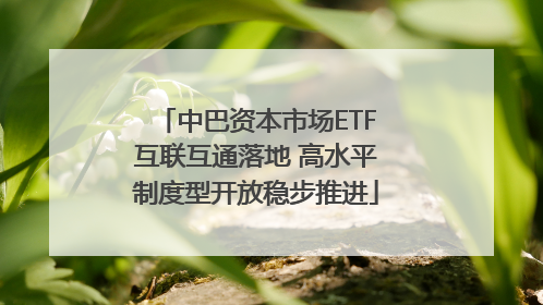 中巴资本市场ETF互联互通落地 高水平制度型开放稳步推进