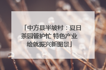 中方县半坡村：夏日茶园管护忙 特色产业绘就振兴新图景