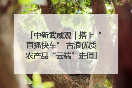 中新武威观｜搭上“直播快车” 古浪优质农产品“云端”走俏