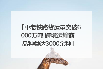 中老铁路货运量突破6000万吨 跨境运输商品种类达3000余种