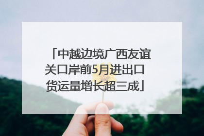 中越边境广西友谊关口岸前5月进出口货运量增长超三成