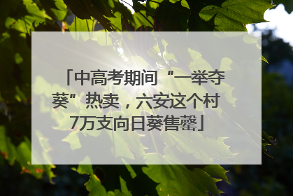 中高考期间“一举夺葵”热卖，六安这个村7万支向日葵售罄