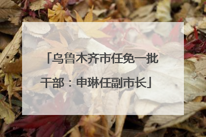 乌鲁木齐市任免一批干部：申琳任副市长