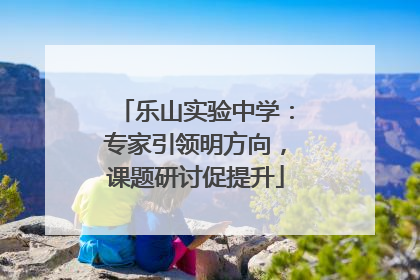 乐山实验中学：专家引领明方向，课题研讨促提升