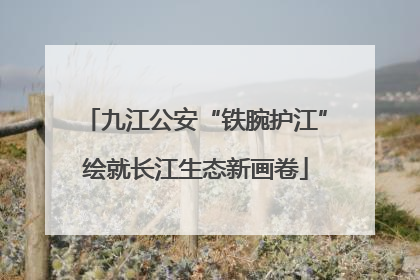 九江公安“铁腕护江”绘就长江生态新画卷