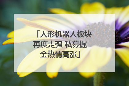 人形机器人板块再度走强 私募掘金热情高涨
