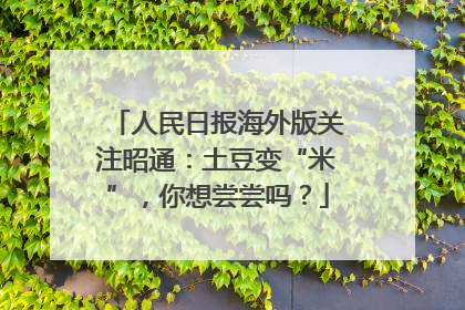 人民日报海外版关注昭通：土豆变“米”，你想尝尝吗？
