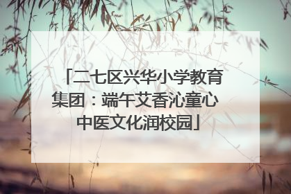 二七区兴华小学教育集团：端午艾香沁童心 中医文化润校园