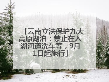 云南立法保护九大高原湖泊：禁止在入湖河道洗车等，9月1日起施行