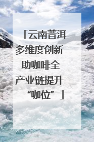 云南普洱多维度创新 助咖啡全产业链提升“咖位”