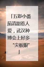 五彩小番茄清甜惹人爱，武汉种博会上好多“尖板眼”