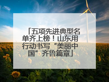 五项先进典型名单齐上榜！山东用行动书写“美丽中国”齐鲁篇章
