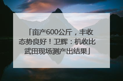 亩产600公斤，丰收态势良好！卫辉：机收比武田现场测产出结果