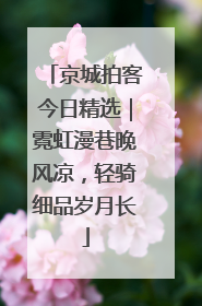 京城拍客今日精选｜霓虹漫巷晚风凉，轻骑细品岁月长