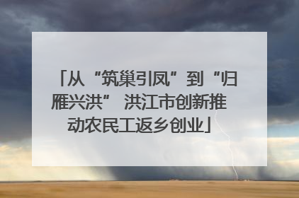 从“筑巢引凤”到“归雁兴洪” 洪江市创新推动农民工返乡创业