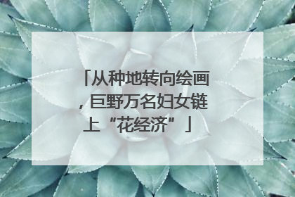 从种地转向绘画，巨野万名妇女链上“花经济”