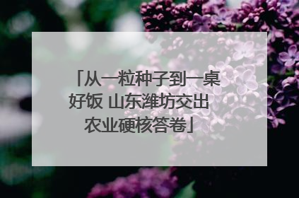 从一粒种子到一桌好饭 山东潍坊交出农业硬核答卷