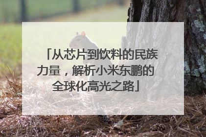 从芯片到饮料的民族力量，解析小米东鹏的全球化高光之路