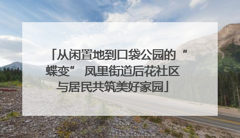 从闲置地到口袋公园的“蝶变” 凤里街道后花社区与居民共筑美好家园