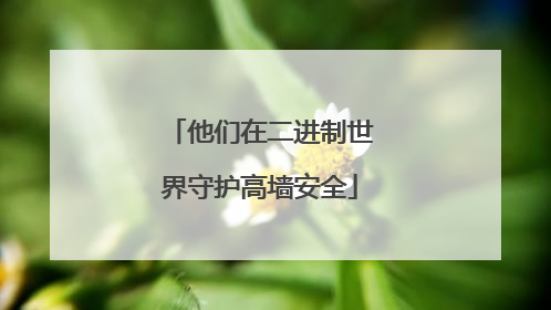 他们在二进制世界守护高墙安全