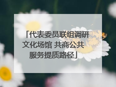 代表委员联组调研文化场馆 共商公共服务提质路径