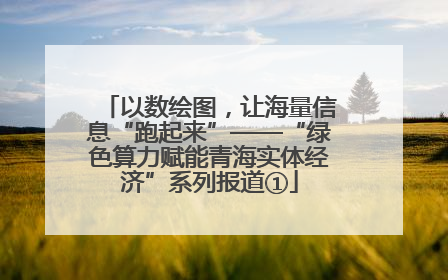 以数绘图，让海量信息“跑起来”——“绿色算力赋能青海实体经济”系列报道①