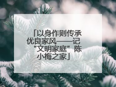 以身作则传承优良家风——记“文明家庭”陈小梅之家