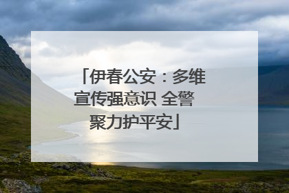 伊春公安：多维宣传强意识 全警聚力护平安